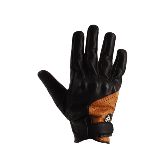 GANTS